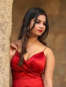 call girl service in Halsi